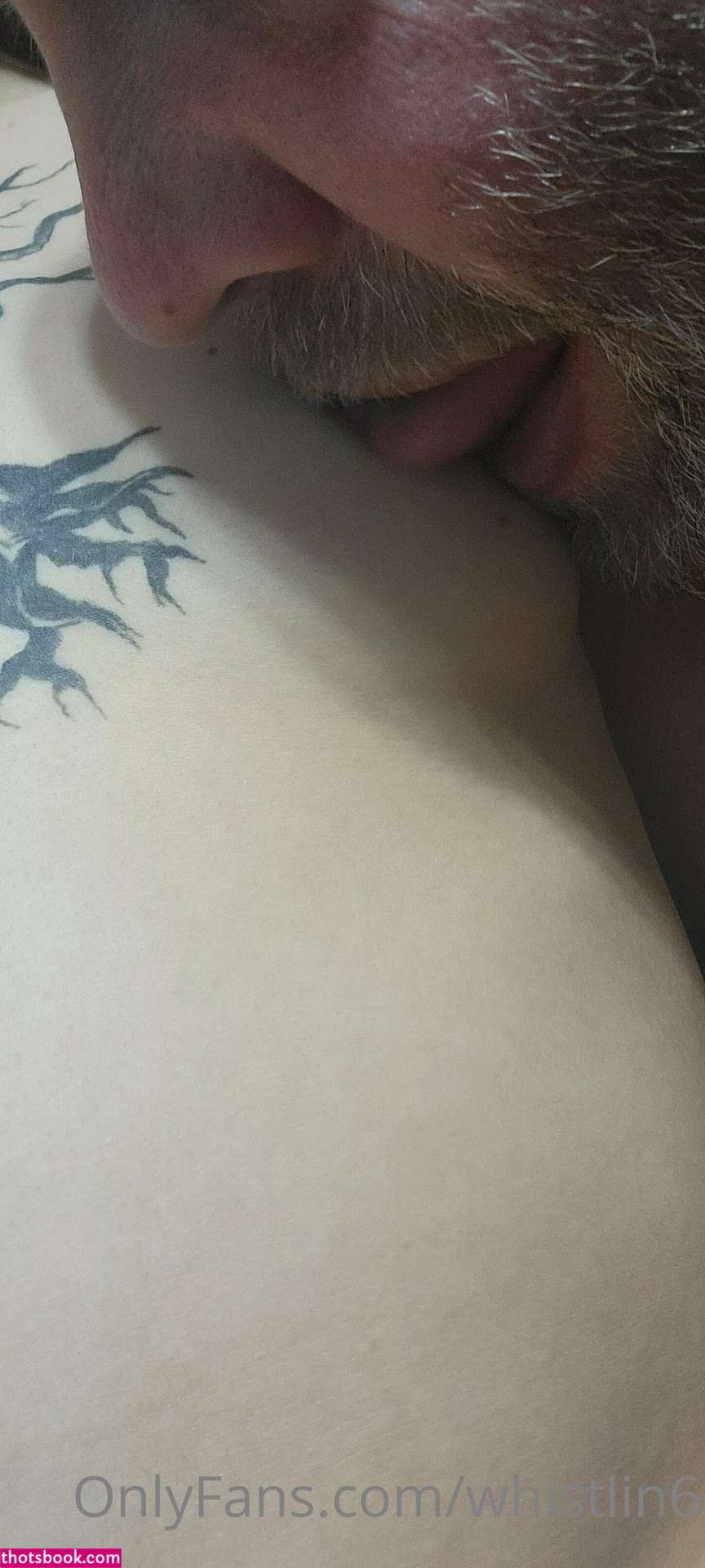 Whistlin6 Photo #146