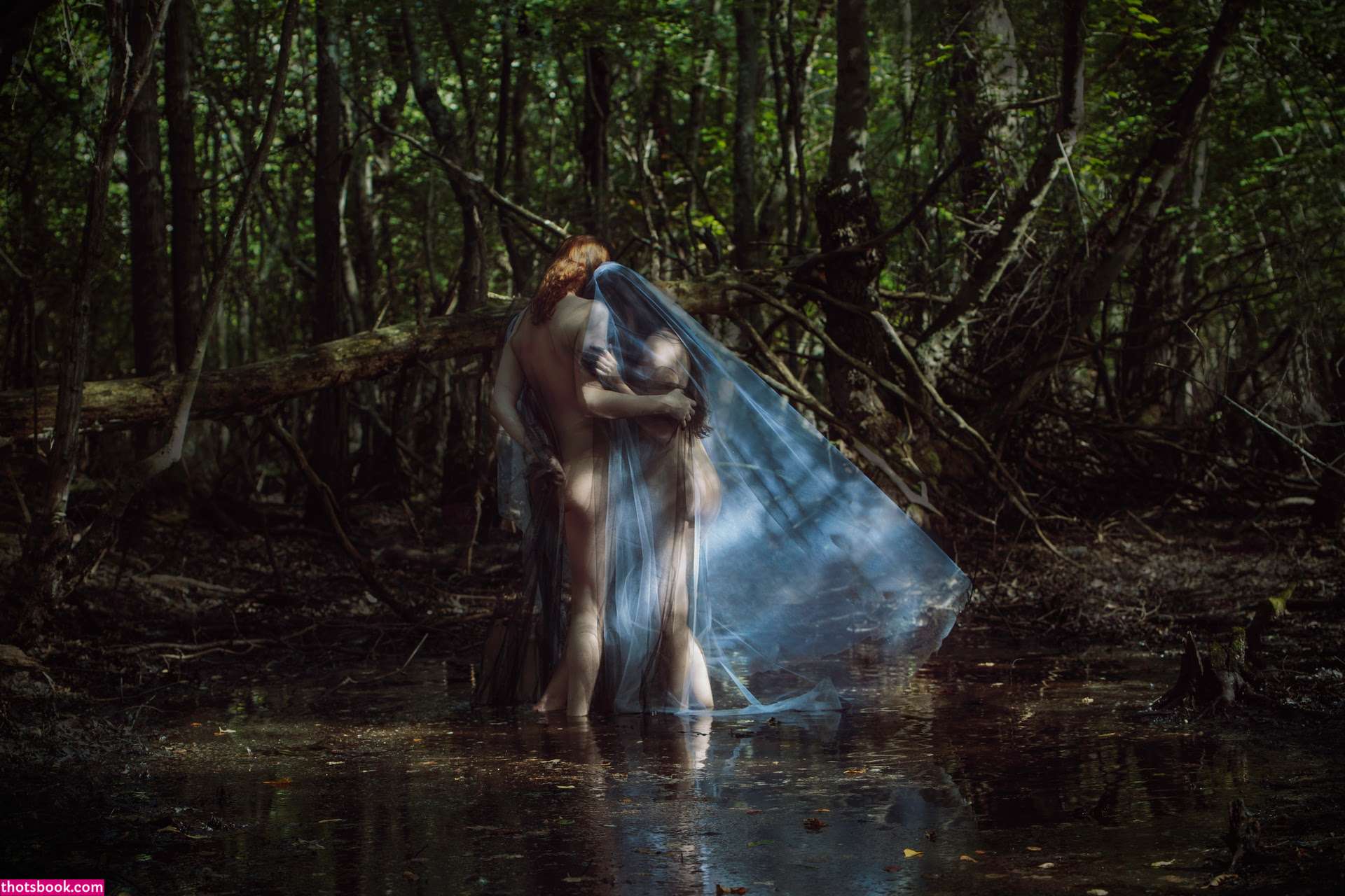 Icelandic Selkie Photo #1