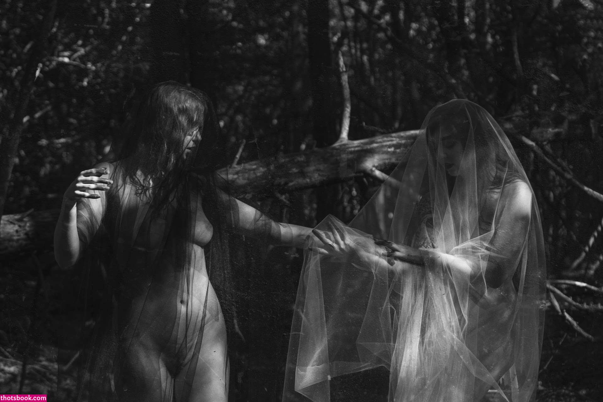 Icelandic Selkie Photo #2