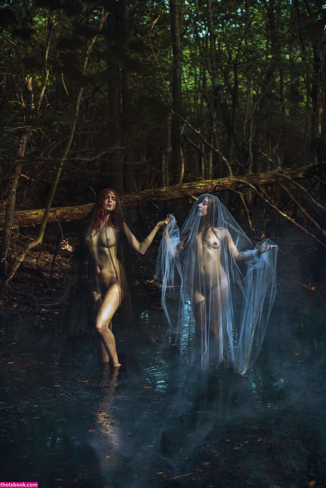 Icelandic Selkie Photo #3