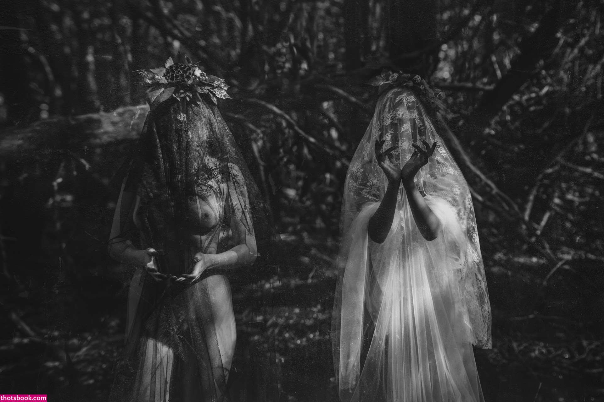 Icelandic Selkie Photo #13