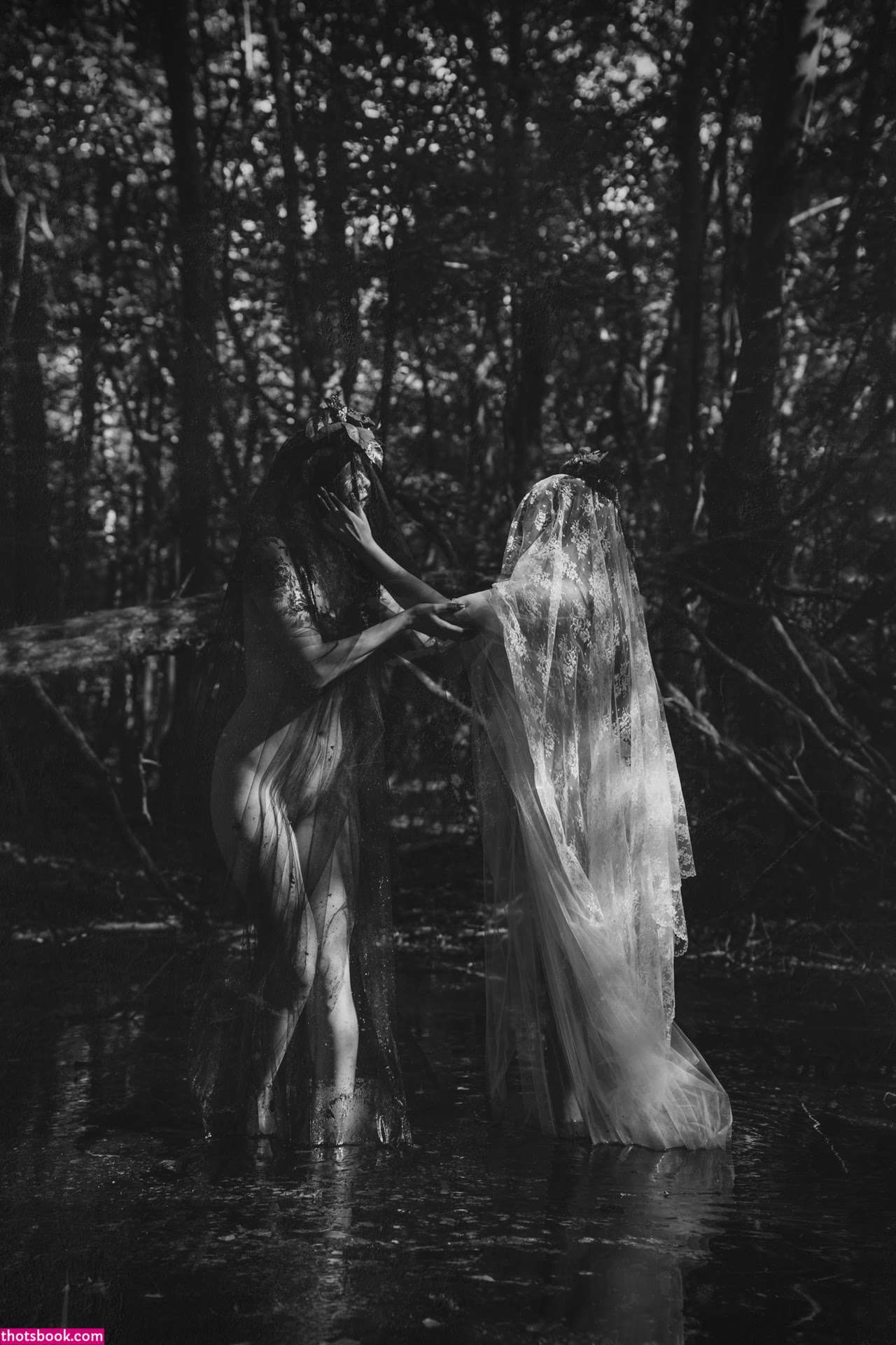 Icelandic Selkie Photo #17