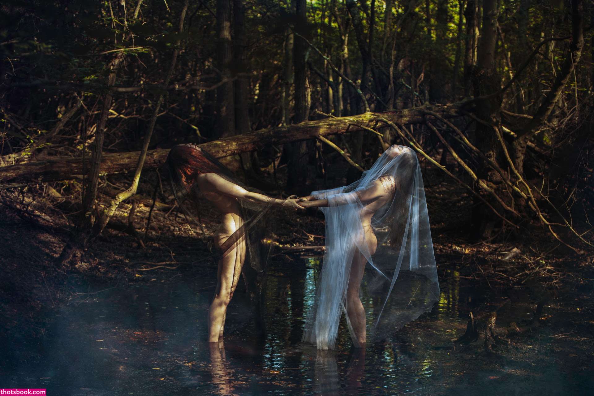 Icelandic Selkie Photo #21