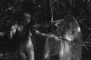 Icelandic Selkie Photo #2