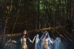 Icelandic Selkie Photo #12