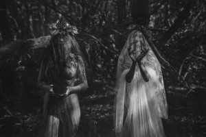 Icelandic Selkie Photo #13