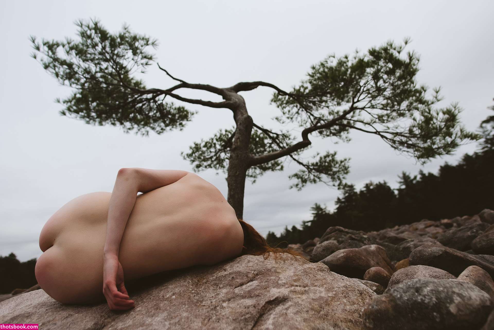 Icelandic Selkie Photo #129