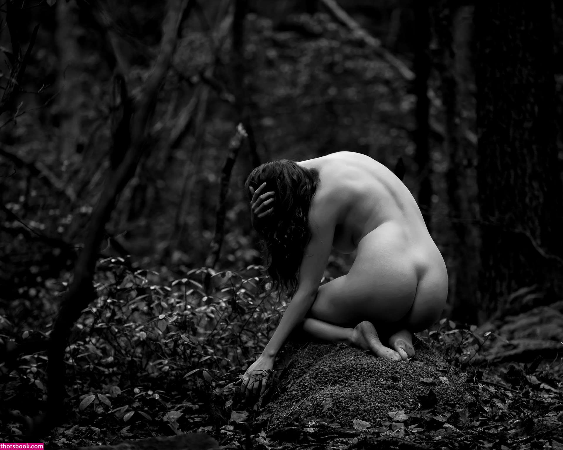 Icelandic Selkie Photo #132