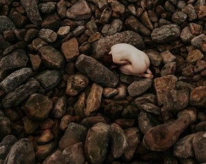 Icelandic Selkie Photo #144