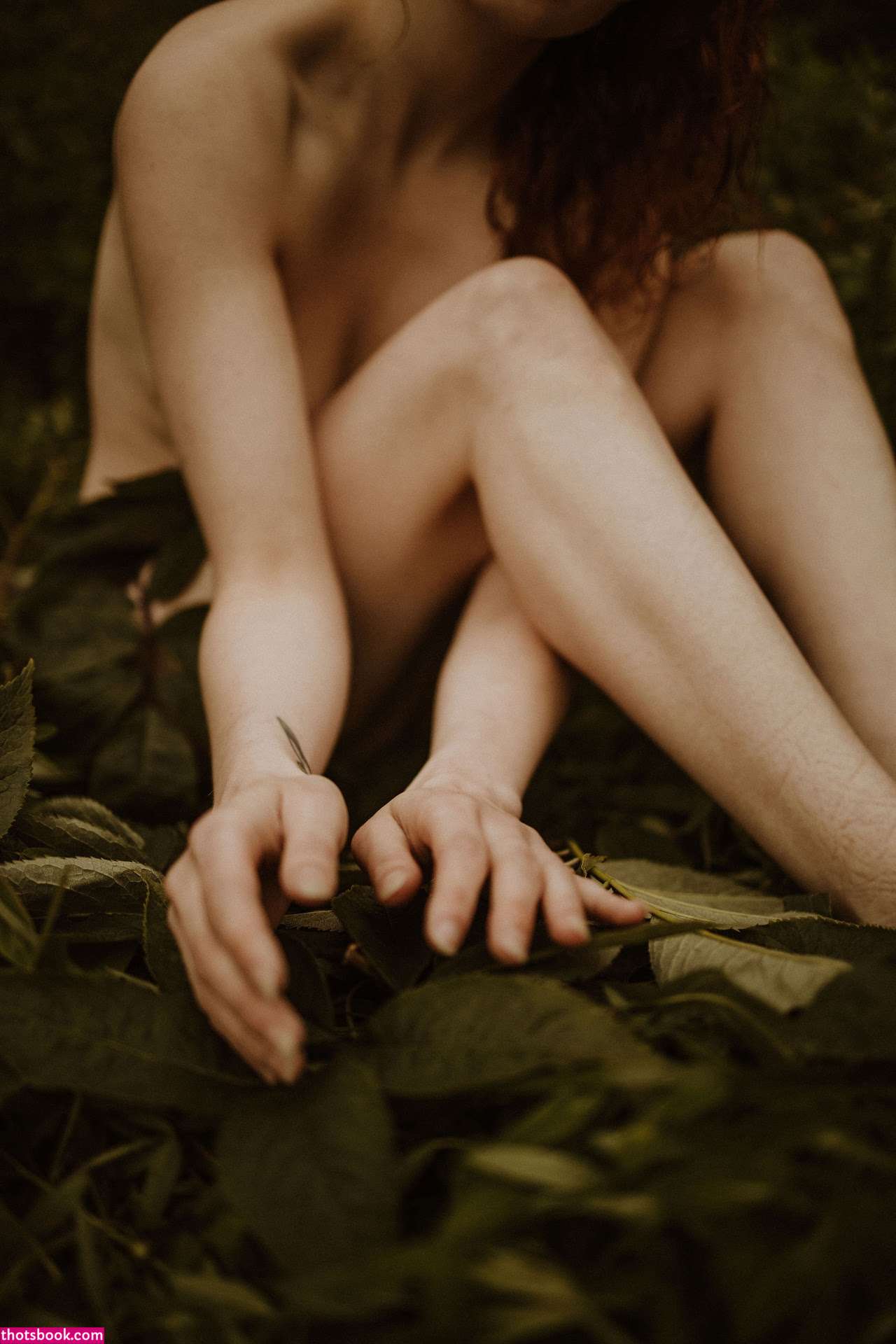 Icelandic Selkie Photo #147