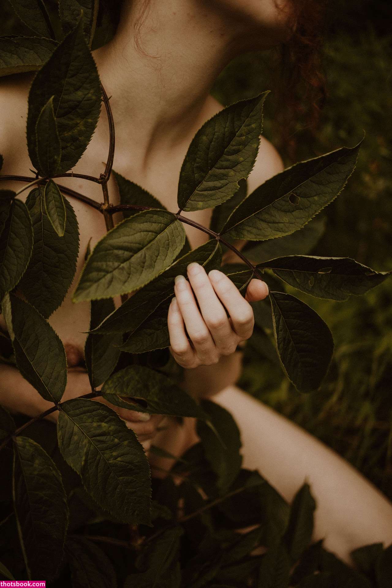 Icelandic Selkie Photo #152