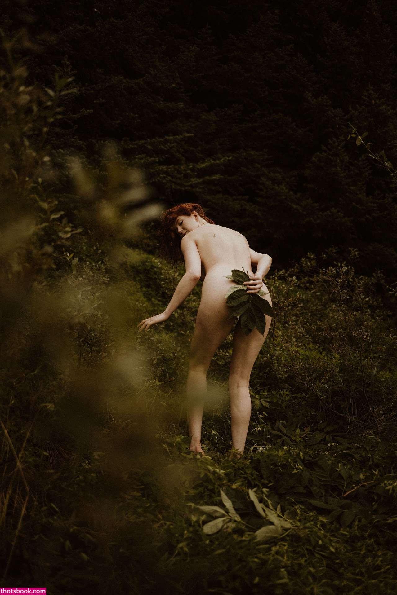 Icelandic Selkie Photo #154