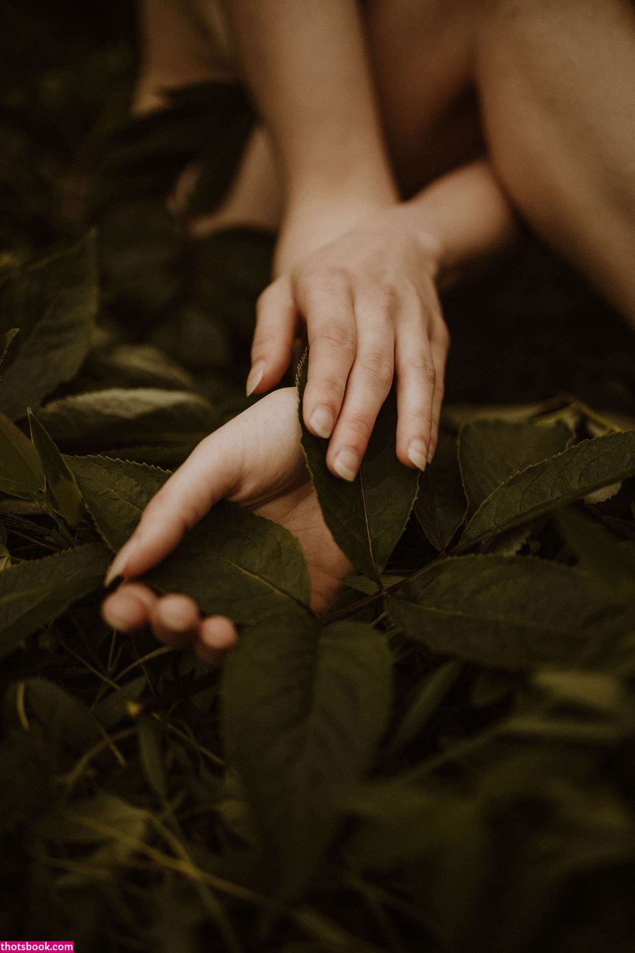 Icelandic Selkie Photo #171