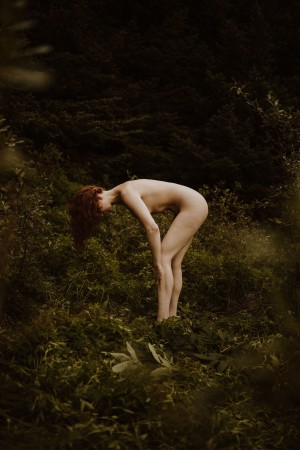 Icelandic Selkie Photo #151