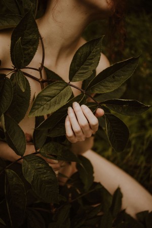 Icelandic Selkie Photo #152