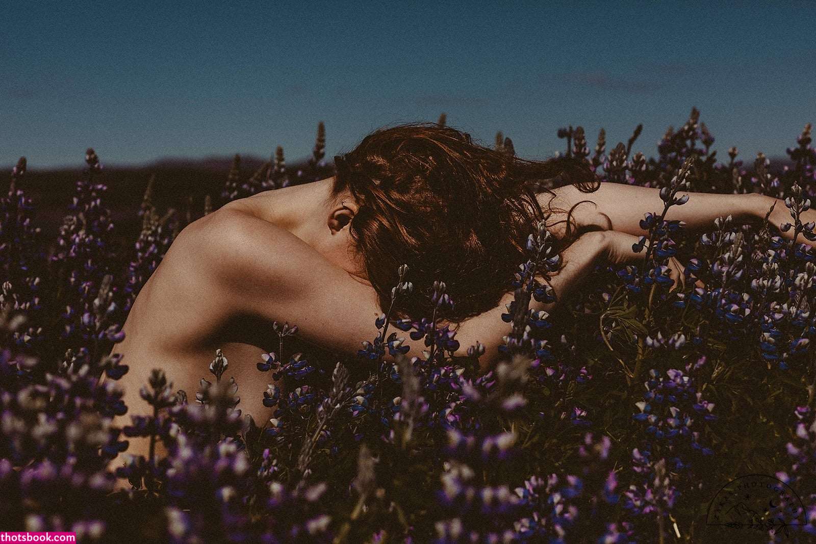 Icelandic Selkie Photo #197