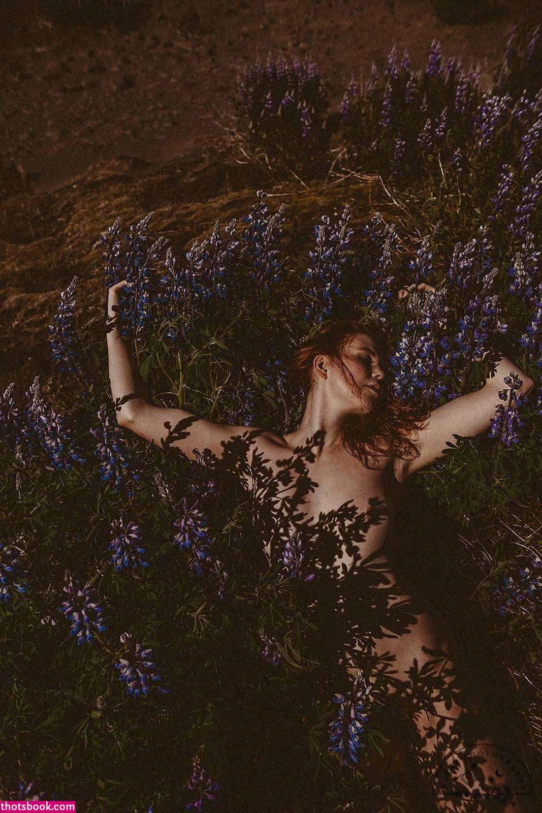 Icelandic Selkie Photo #215