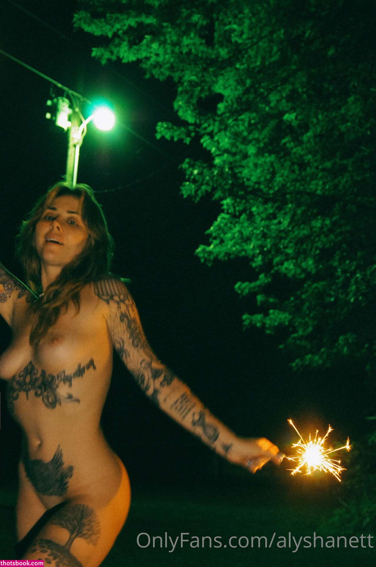 Alysha Nett Photo #38