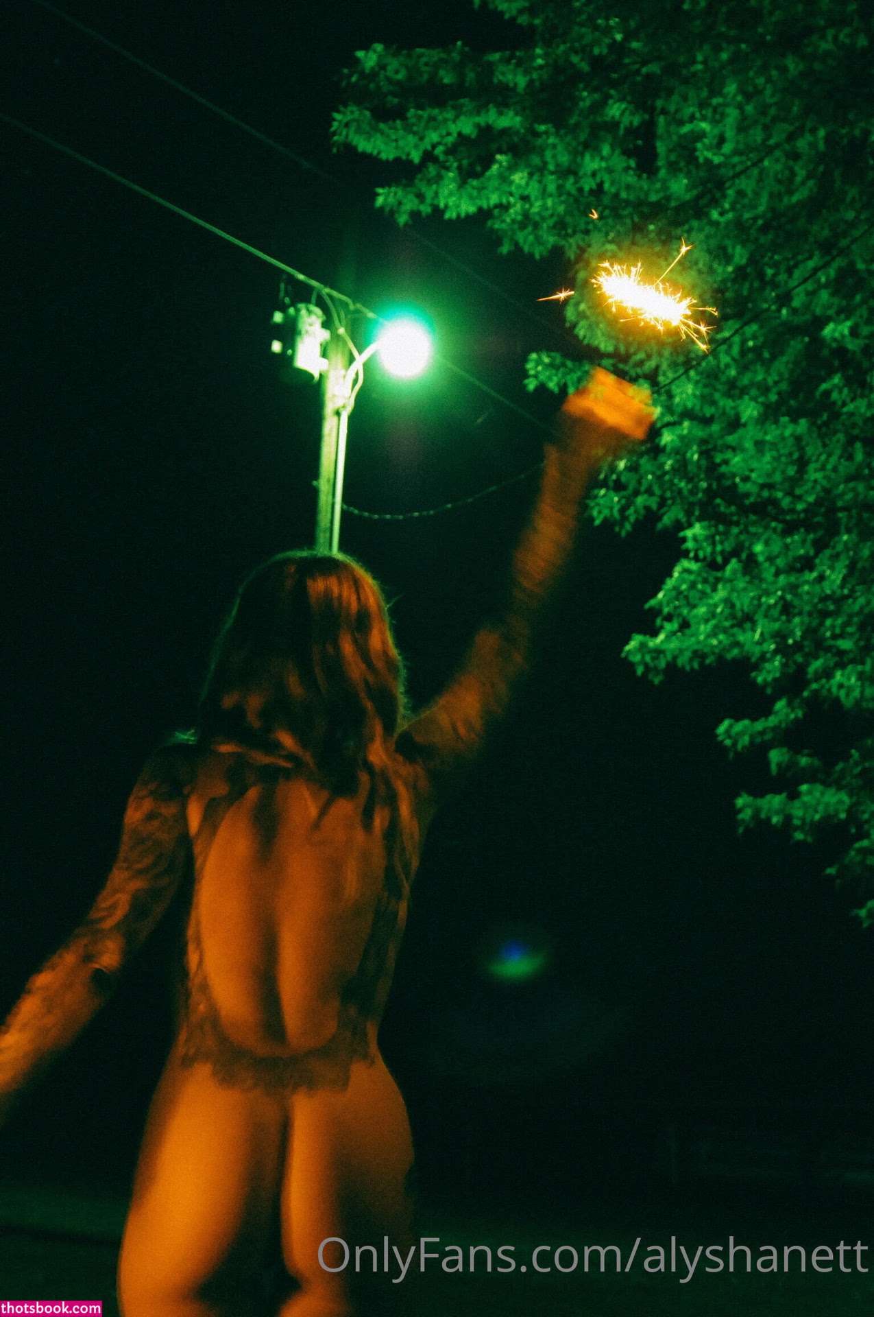 Alysha Nett Photo #40