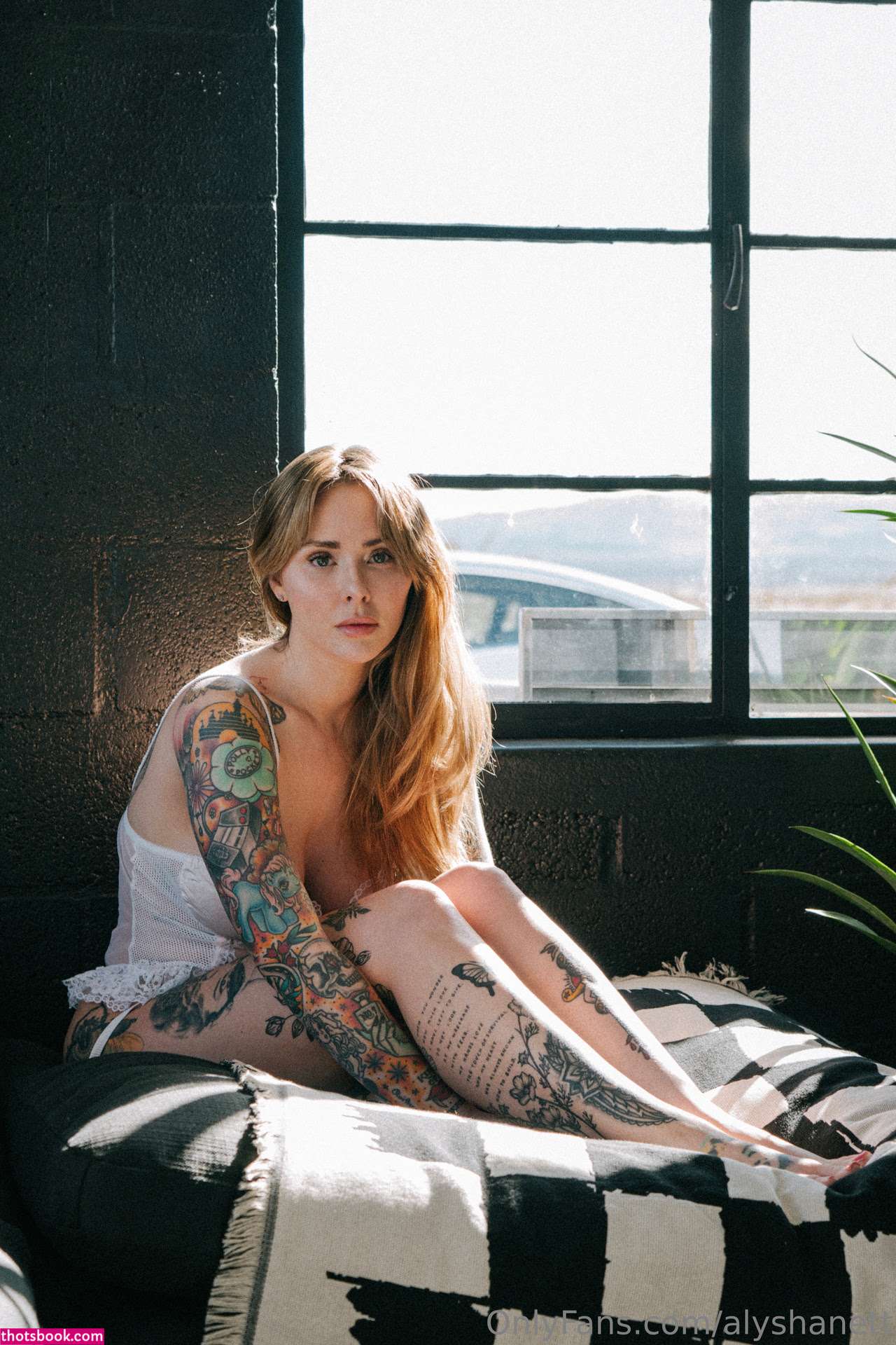 Alysha Nett Photo #264