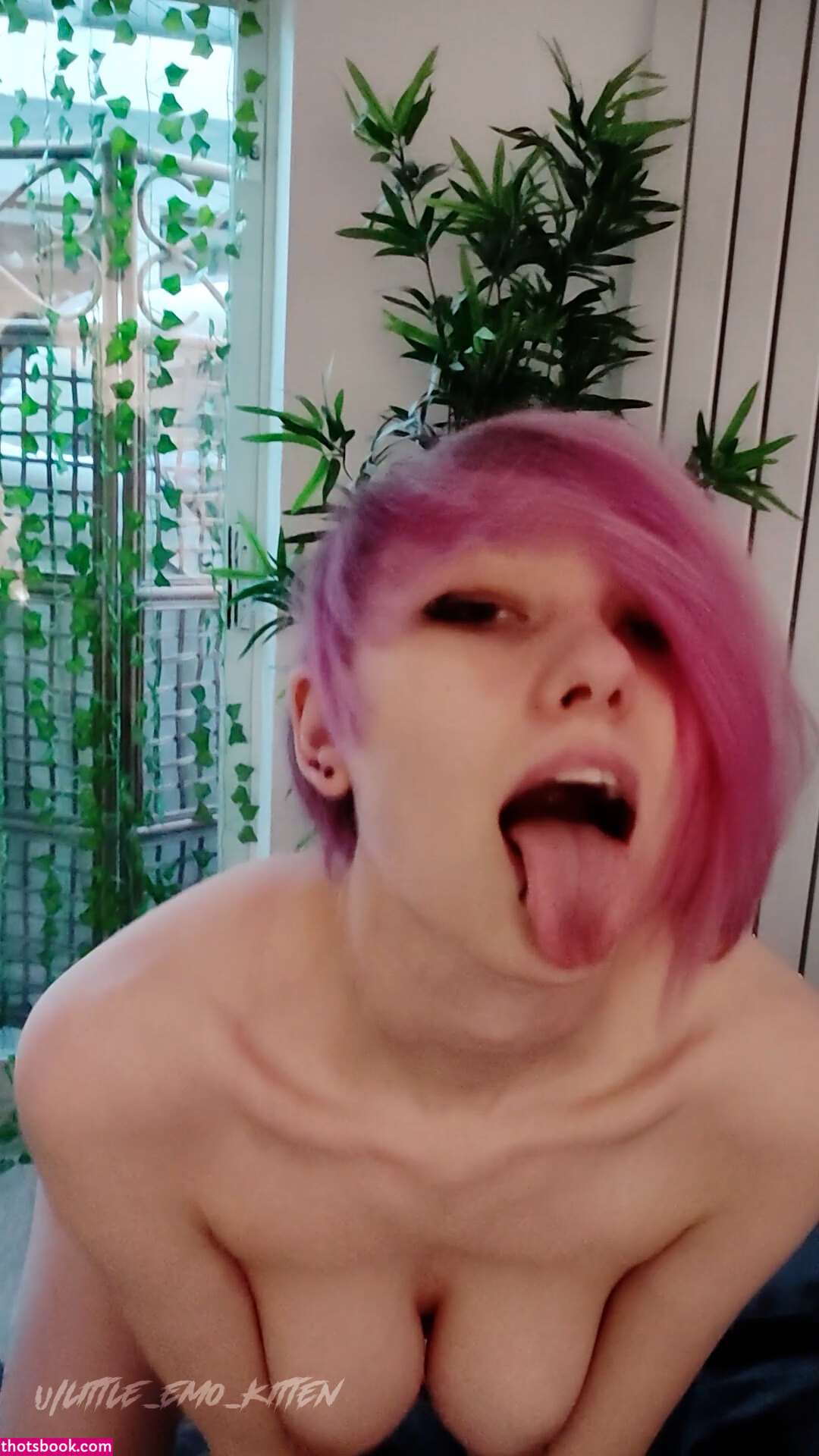 Little Emo Kitten Photo #103