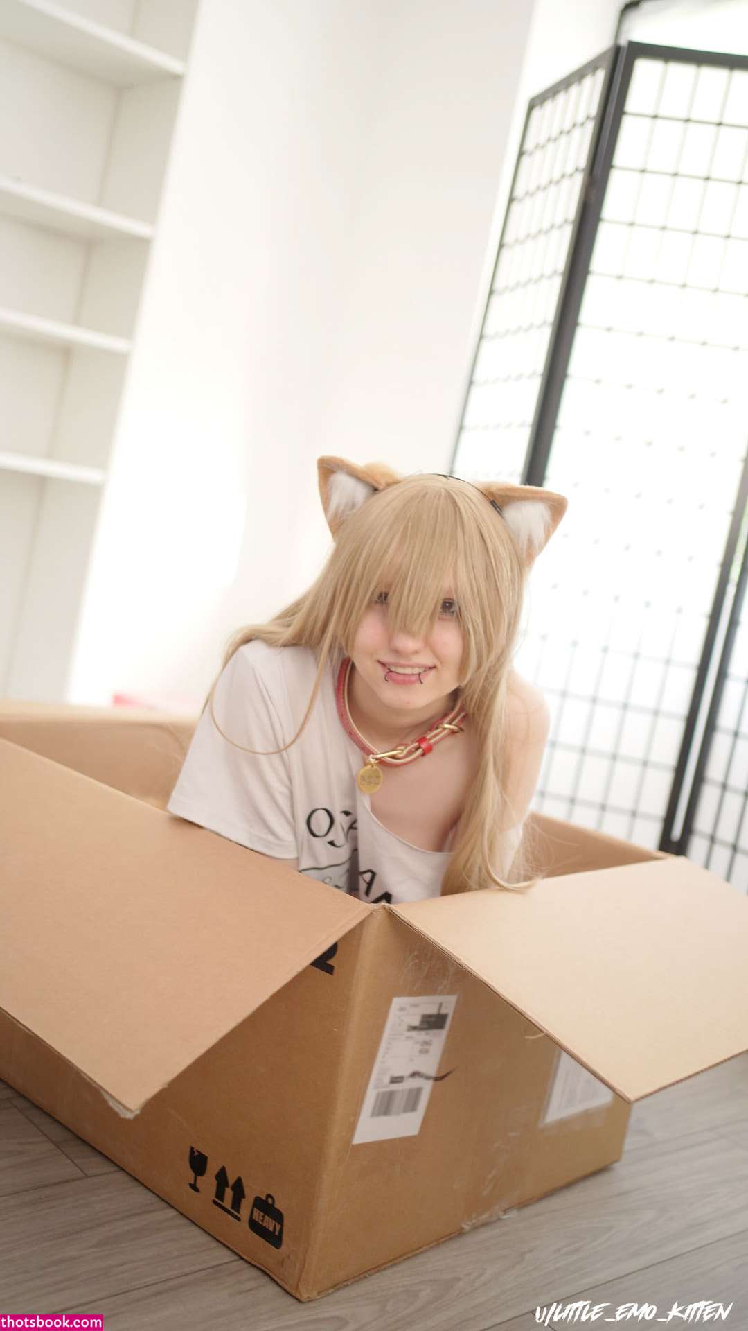 Little Emo Kitten Photo #191