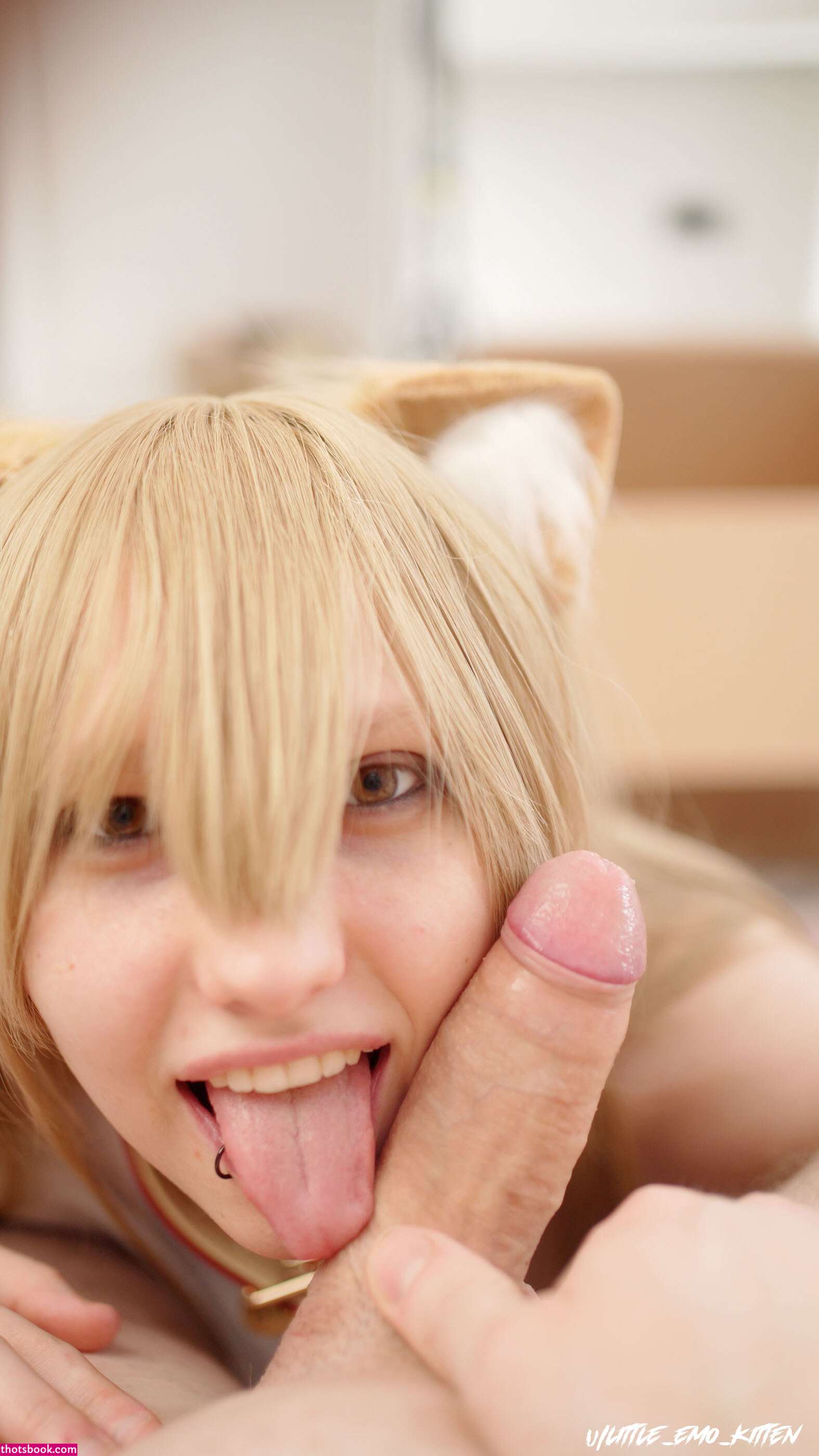 Little Emo Kitten Photo #194