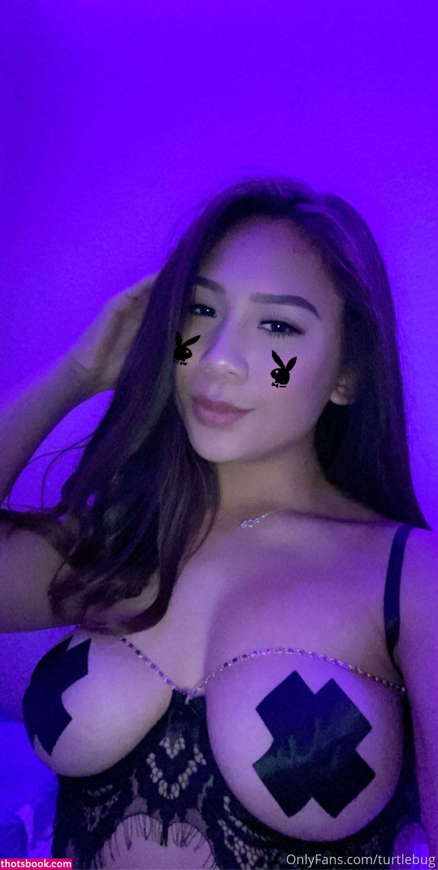 Turtlebug Photo #108