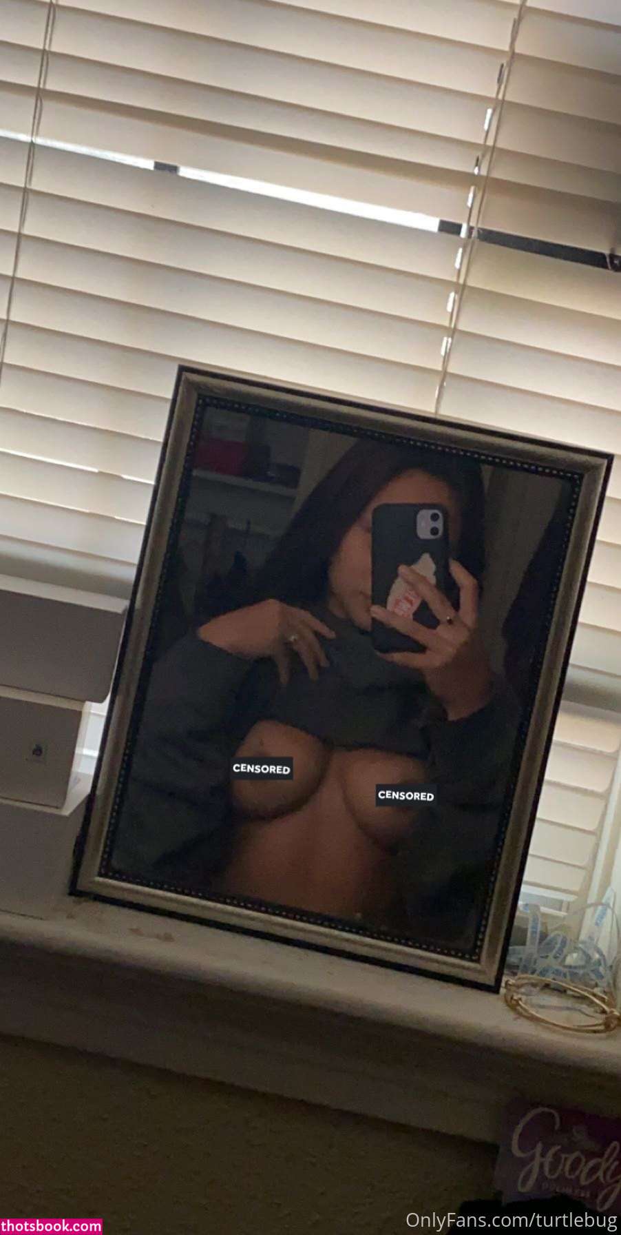 Turtlebug Photo #113