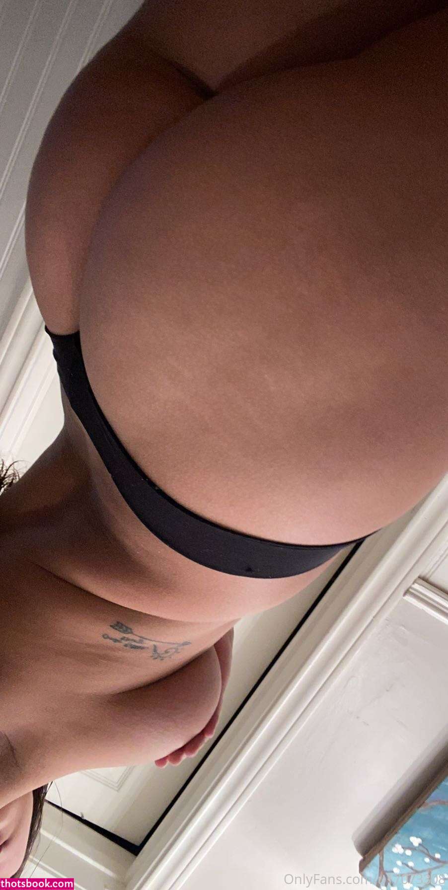 Turtlebug Photo #115