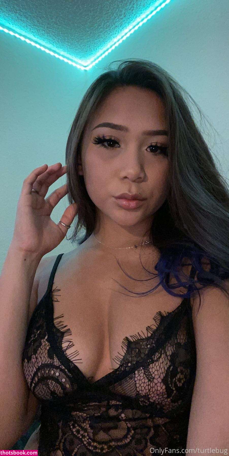 Turtlebug Photo #124