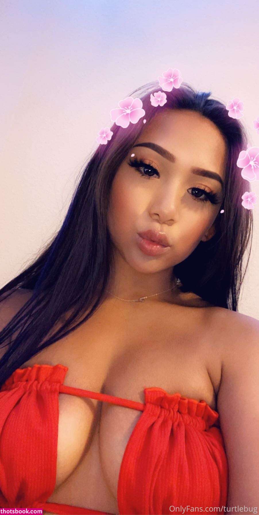 Turtlebug Photo #127