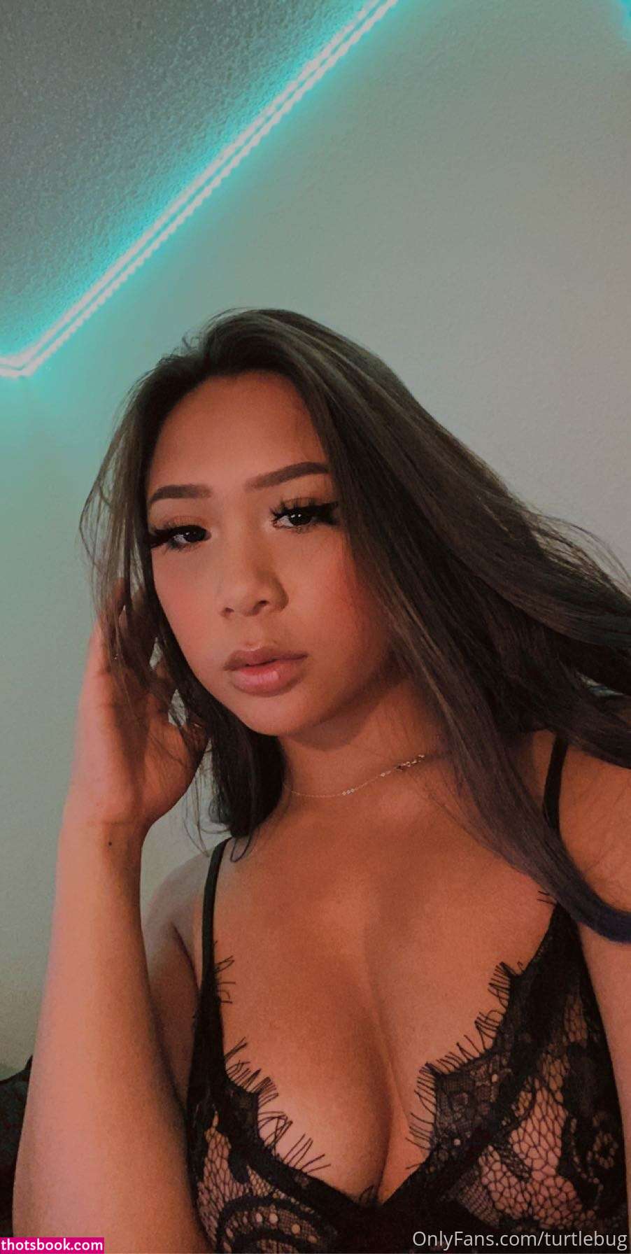 Turtlebug Photo #135