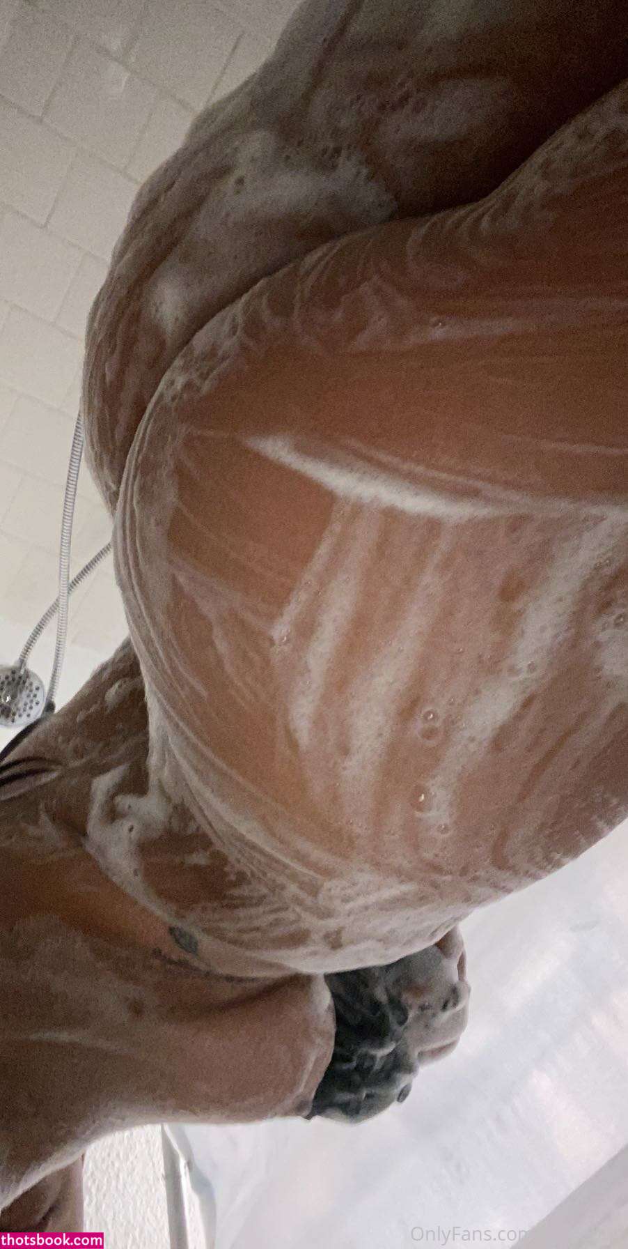 Turtlebug Photo #138