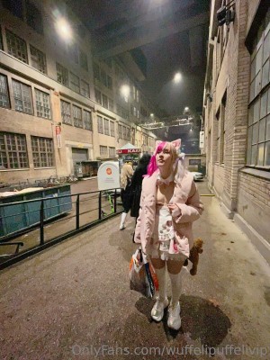 Wuffelipuffeli Post #12