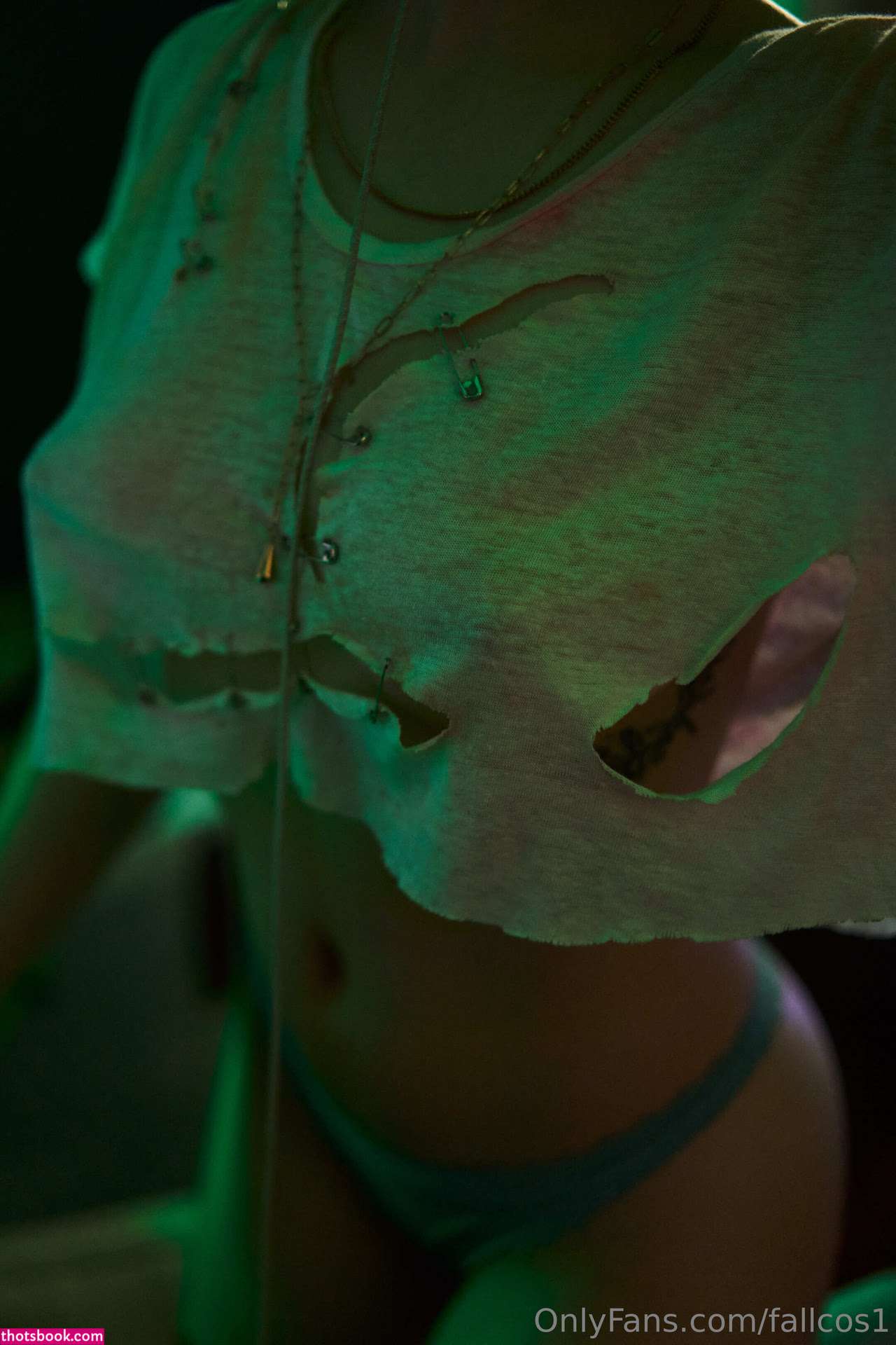 Fallcosplay Photo #395