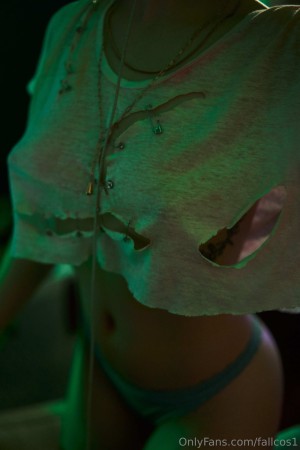 Fallcosplay Photo #395