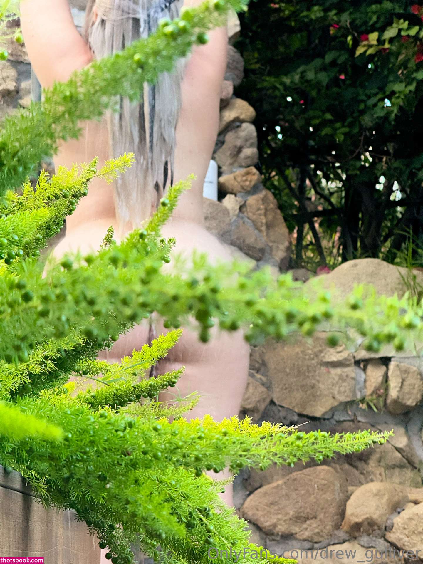 Drew Gulliver Photo #117