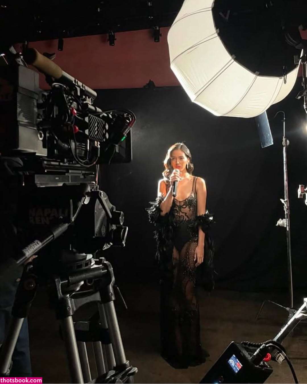 Wolfiecindy Photo #101