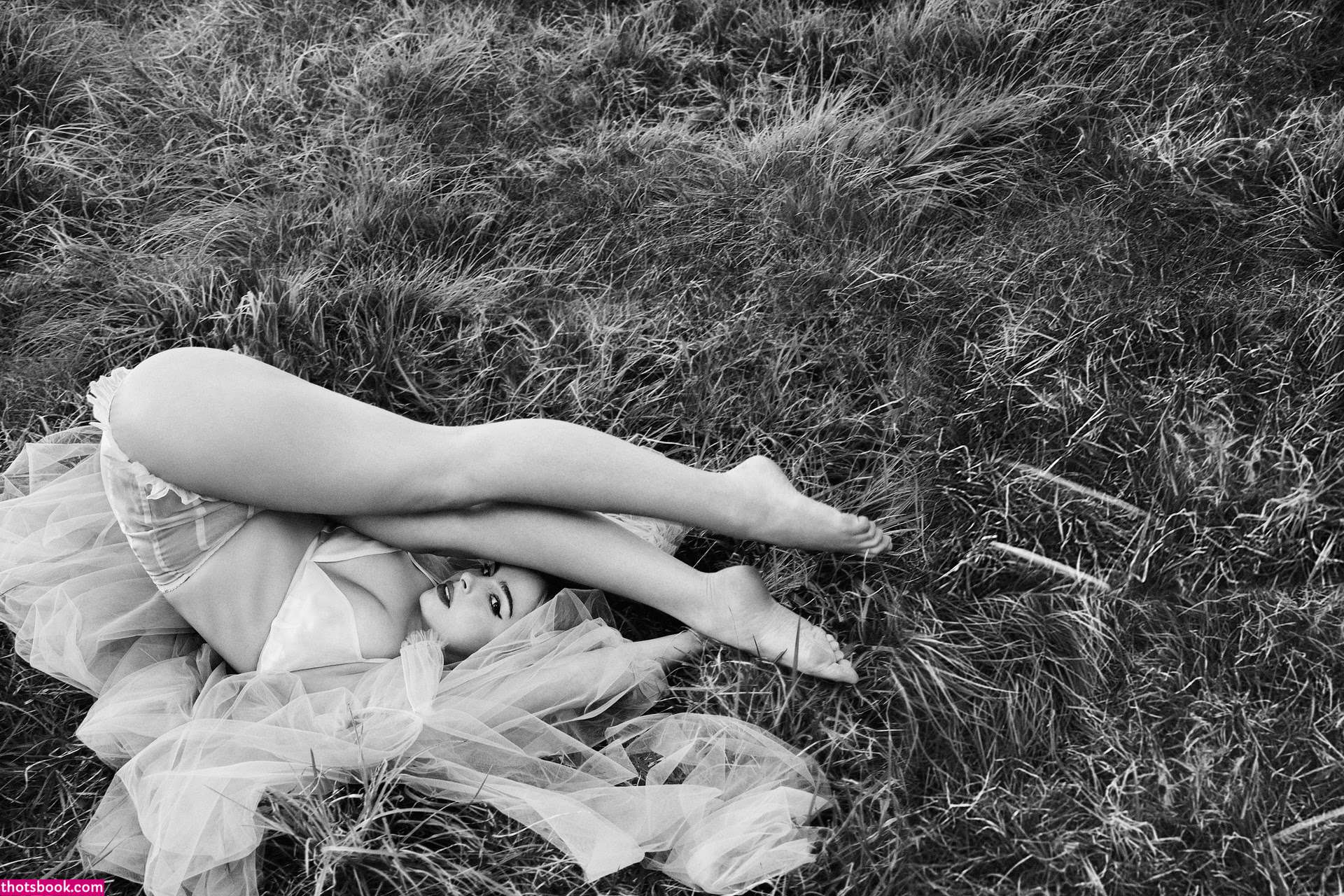 Addison Rae Photo #14