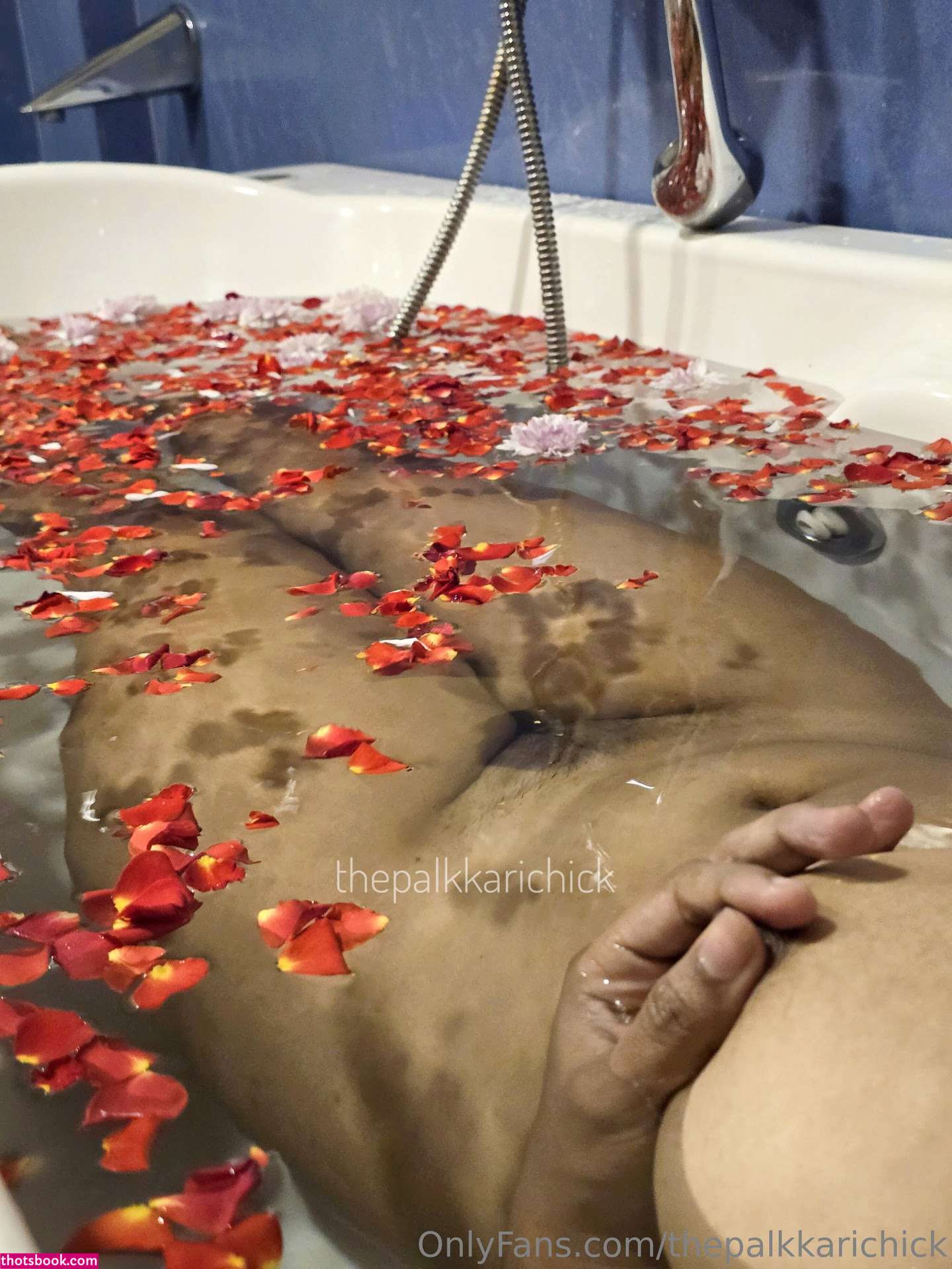 thepalkkarichick Photo #40