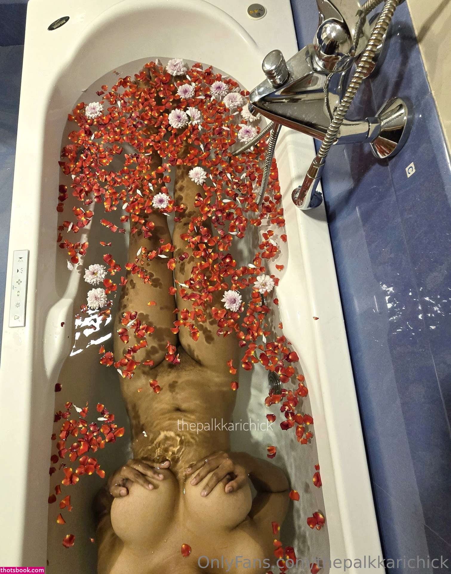 thepalkkarichick Photo #43