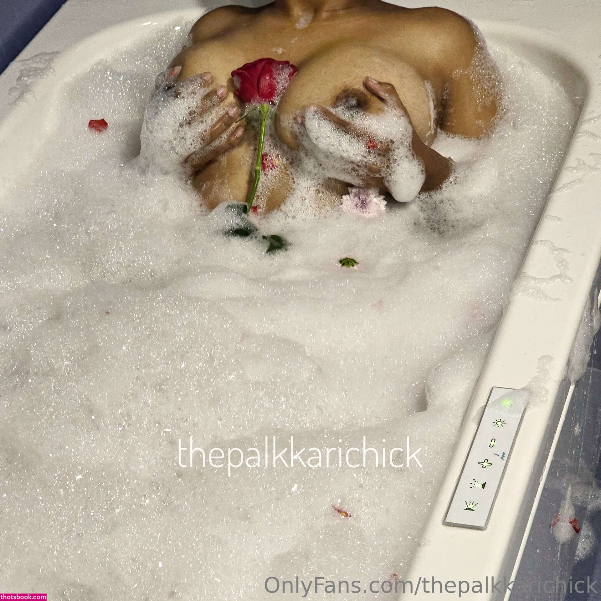 thepalkkarichick Photo #45