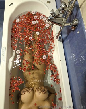 thepalkkarichick Photo #43