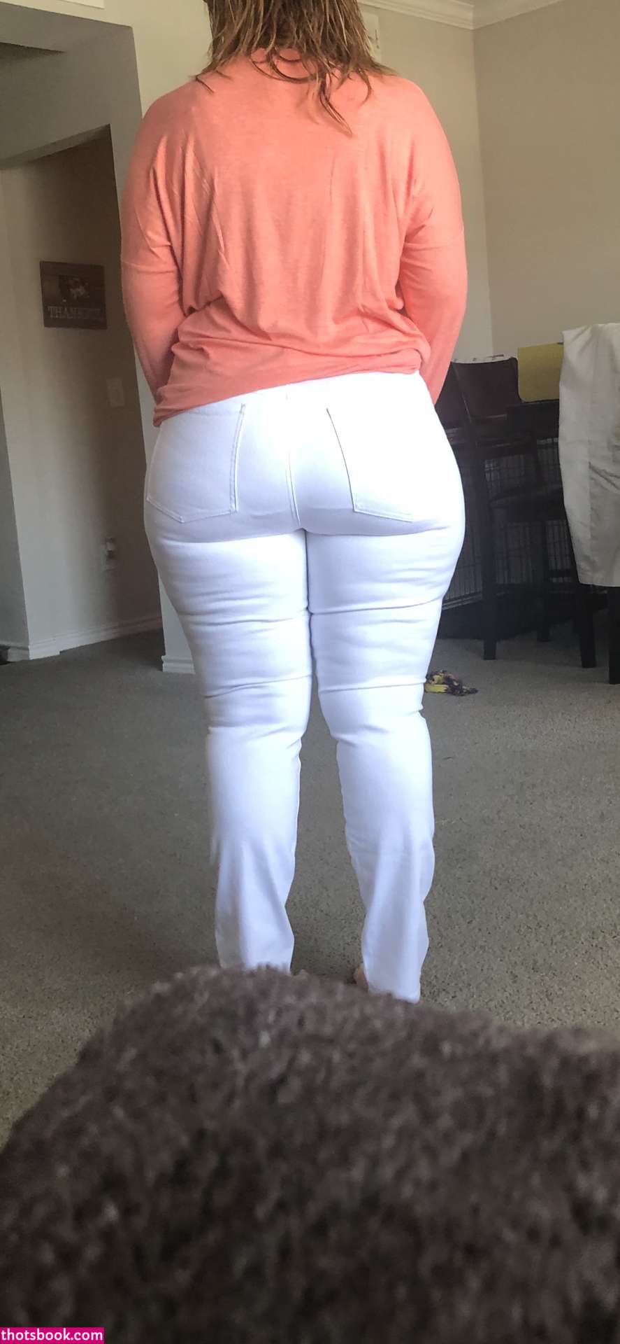 Gilfpawglife Photo #7