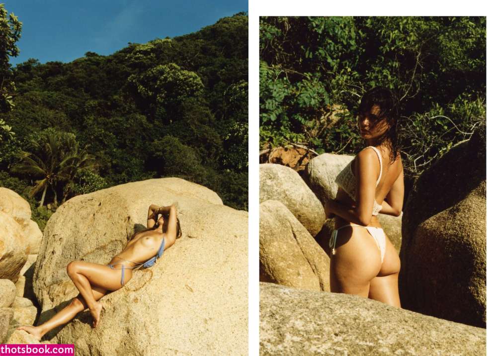 Sierra Brave Photo #17