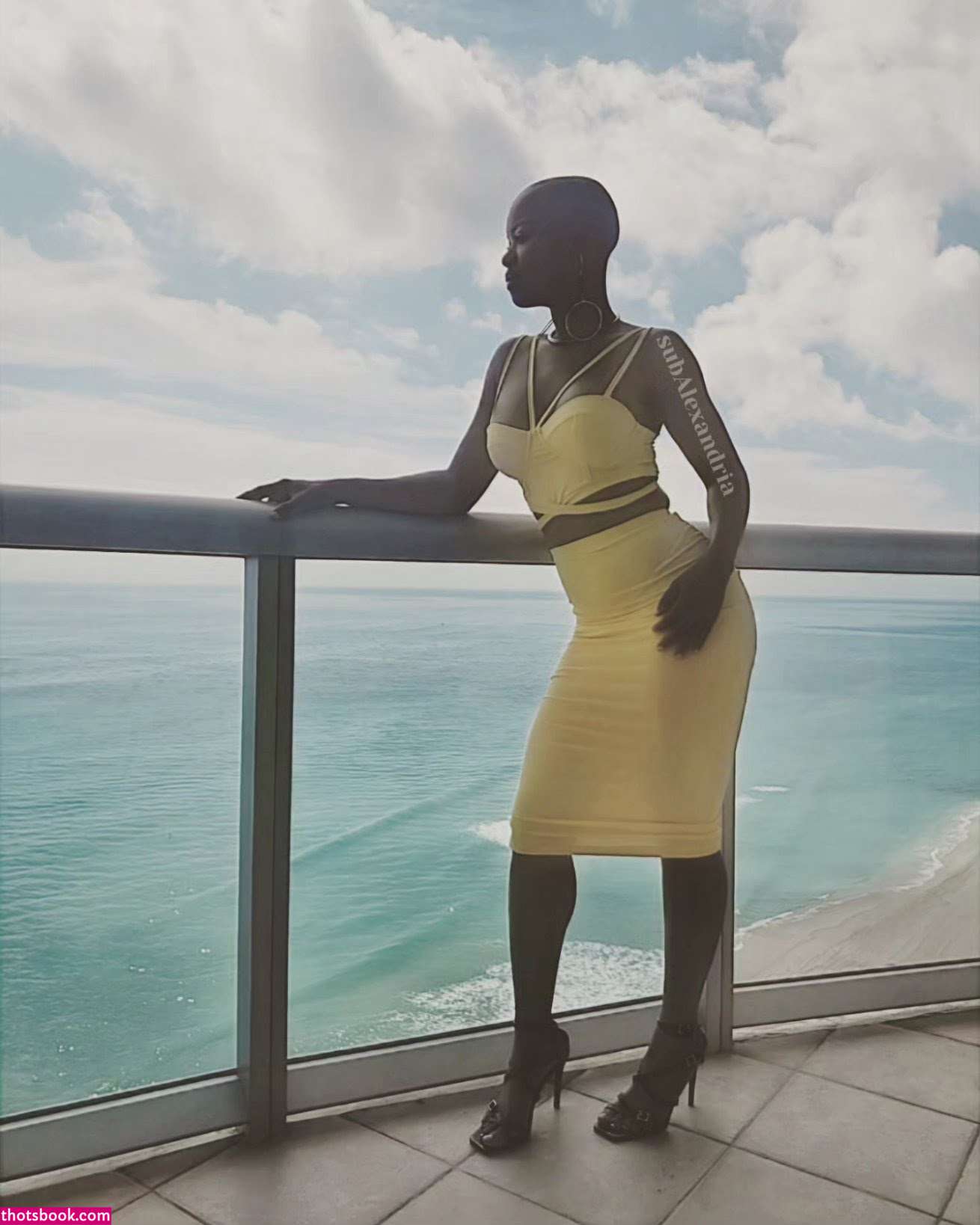 subalexandria Photo #49