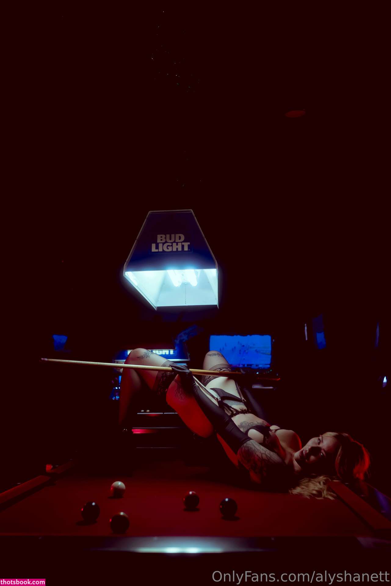 Alysha Nett Photo #538