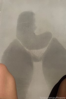 ASMR Puffin Photo #186