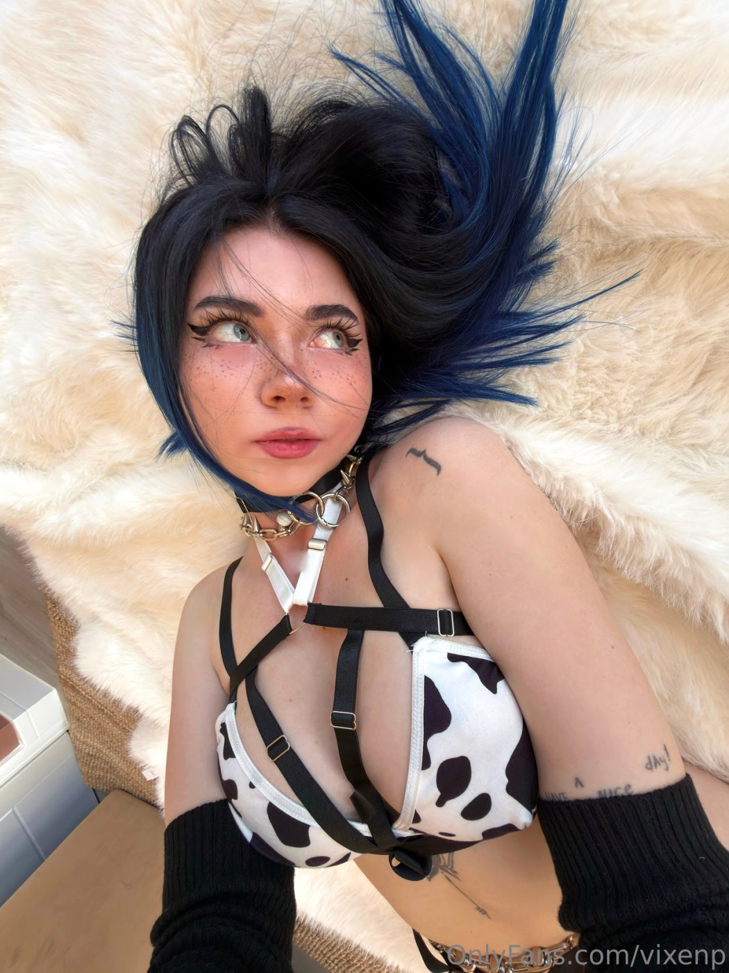 Vixenp Photo #1256
